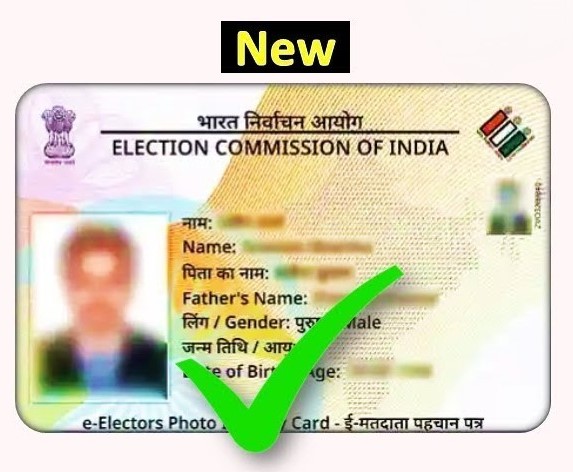 Voter ID